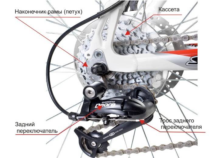 ✅ почему прокручивается задняя втулка на велосипеде - veloexpert33.ru