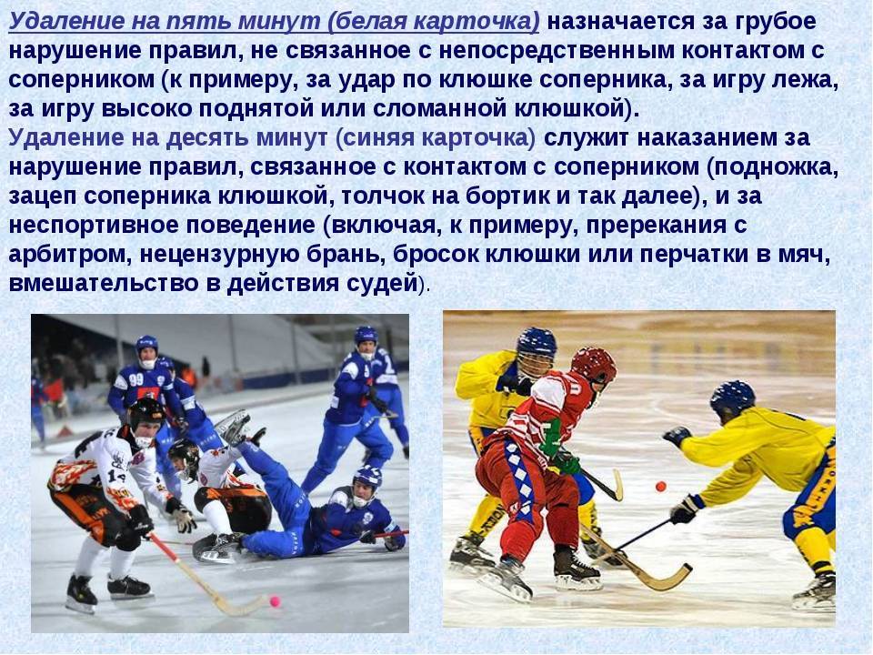 Хоккей с мячом. игра и правила. экипировка и особенности | japanbi.ru